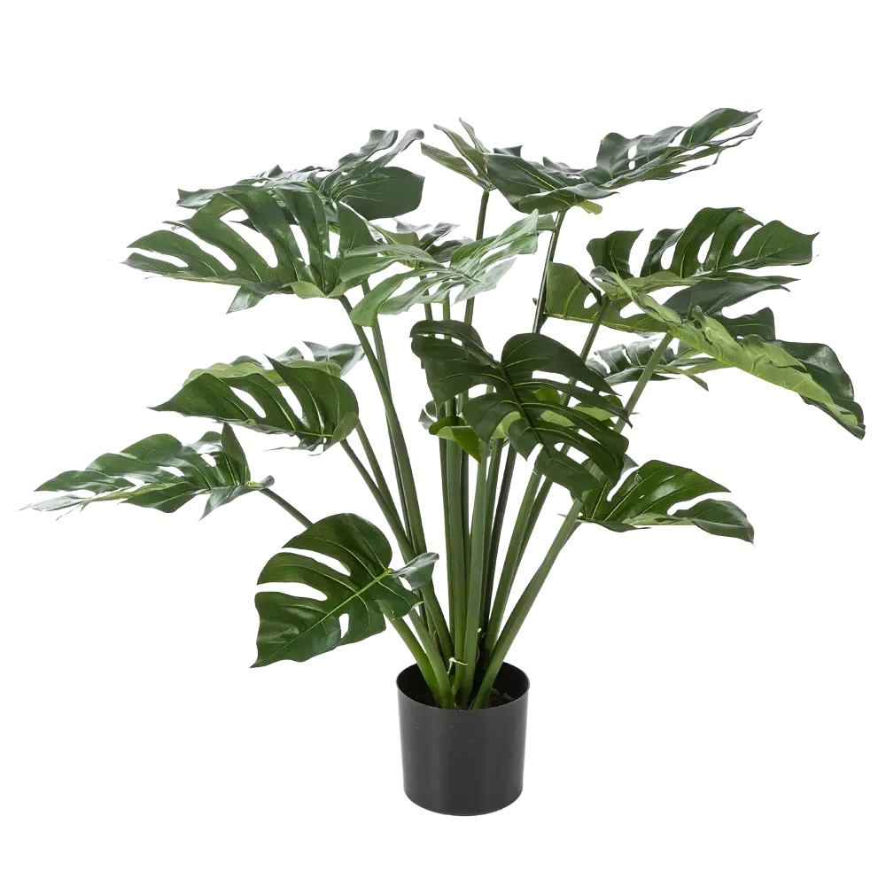 Künstliche Monstera - Thilo, 98 cm, Kunstpflanze von aplanta, in Natur, für drinnen