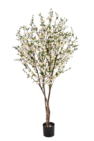 Künstlicher Kirschbaum - Willi, 170 cm, Kunstbaum von aplanta, mit Echtholzstamm, in Creme, für drinnen
