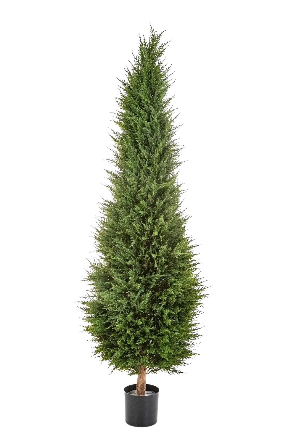 Künstliche Zypresse - Philip, 180 cm, Kunstbaum von aplanta, Real Touch, in Natur, für drinnen