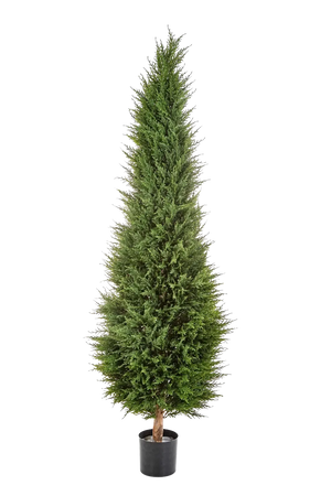Künstliche Zypresse - Philip, 180 cm, Kunstbaum von aplanta, Real Touch, in Natur, für drinnen