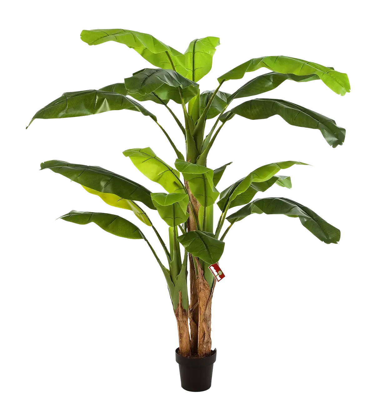 Künstlicher Bananenbaum - Pauline, 180 cm, Kunstbaum von aplanta, im schwarzen Topf, in Natur, für drinnen