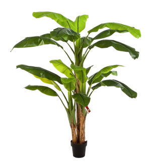 Künstlicher Bananenbaum - Pauline, 180 cm, Kunstbaum von aplanta, im schwarzen Topf, in Natur, für drinnen