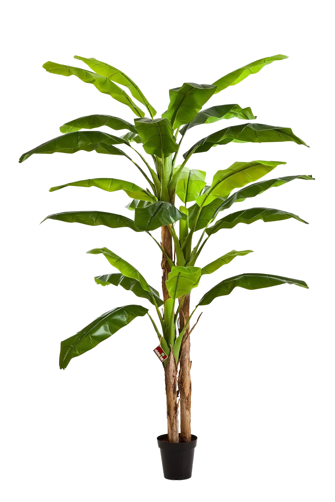 Künstlicher Bananenbaum - Pauline, 240 cm, Kunstbaum von aplanta, im schwarzen Topf, in Natur, für drinnen