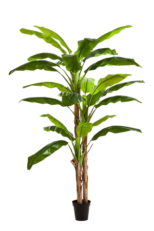 Künstlicher Bananenbaum - Pauline, 240 cm, Kunstbaum von aplanta, im schwarzen Topf, in Natur, für drinnen