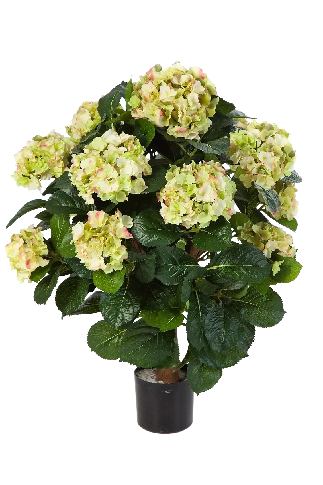 Künstliche Hortensie - Noah, 62 cm, Kunstpflanze von aplanta, für drinnen