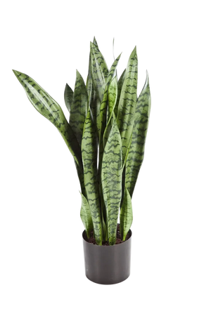 Künstlicher Bogenhanf - Luis, 80 cm, Kunstpflanze von aplanta, in Natur, für drinnen