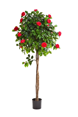 Künstlicher Kamelienbaum - Pelin, 160 cm, Kunstbaum von aplanta, in Rot, für drinnen