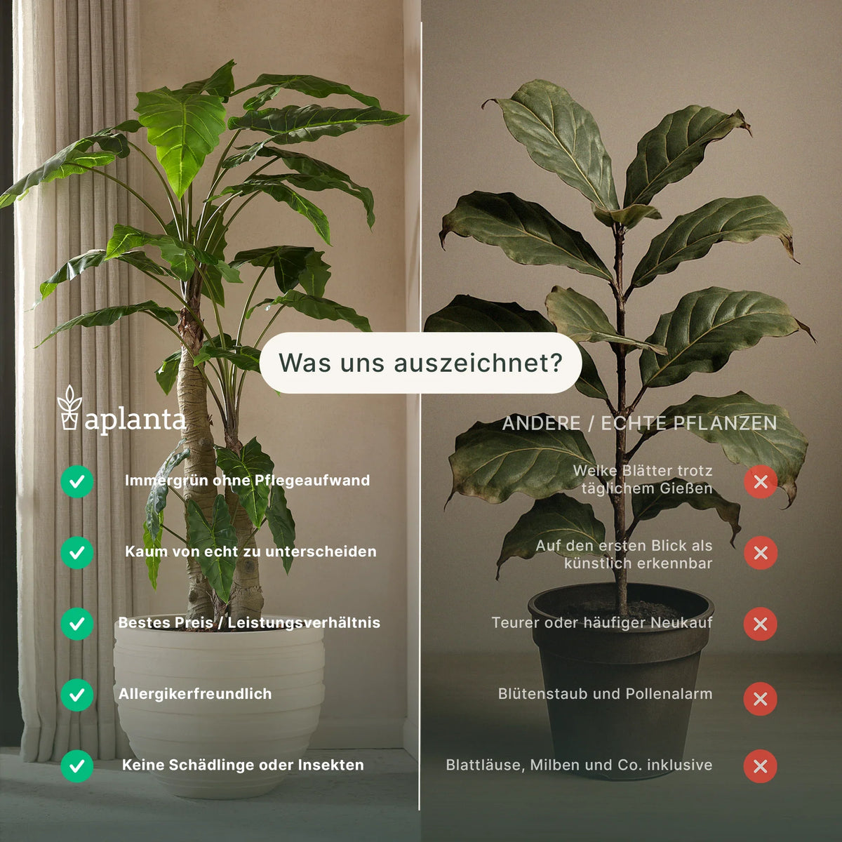 Künstliche Glückskastanie - Owen, 180 cm, Kunstbaum von aplanta, feuerhemmend, 180 cm feuerhemmend, in Grün, für drinnen