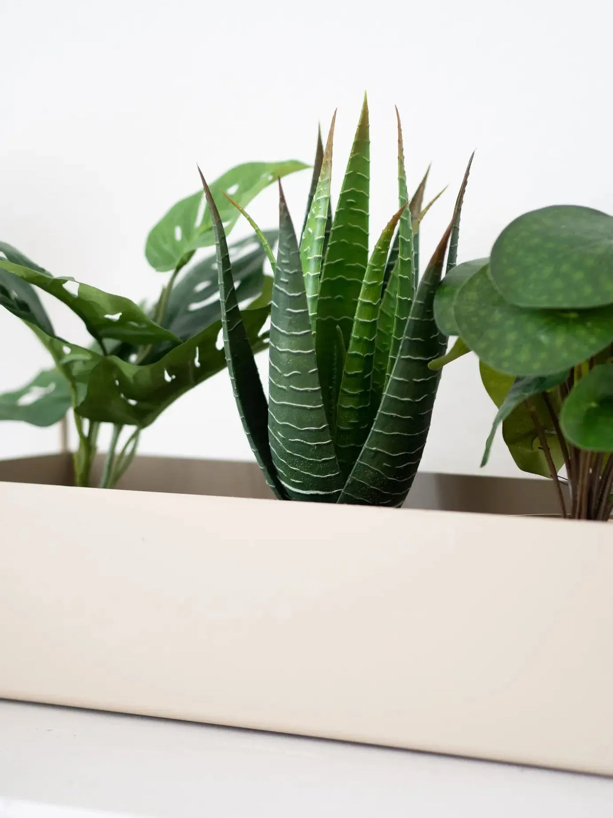 Künstliche Aloe - Patty, 30 cm, Kunstpflanze von aplanta, im schwarzen Topf, in Natur, für drinnen