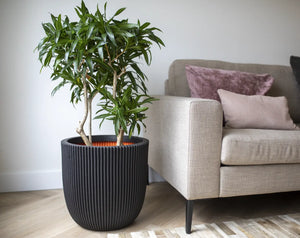 Blumentopf Kugel Groove schwarz, 35x34cm, Pflanzkübel von aplanta, für drinnen & draußen