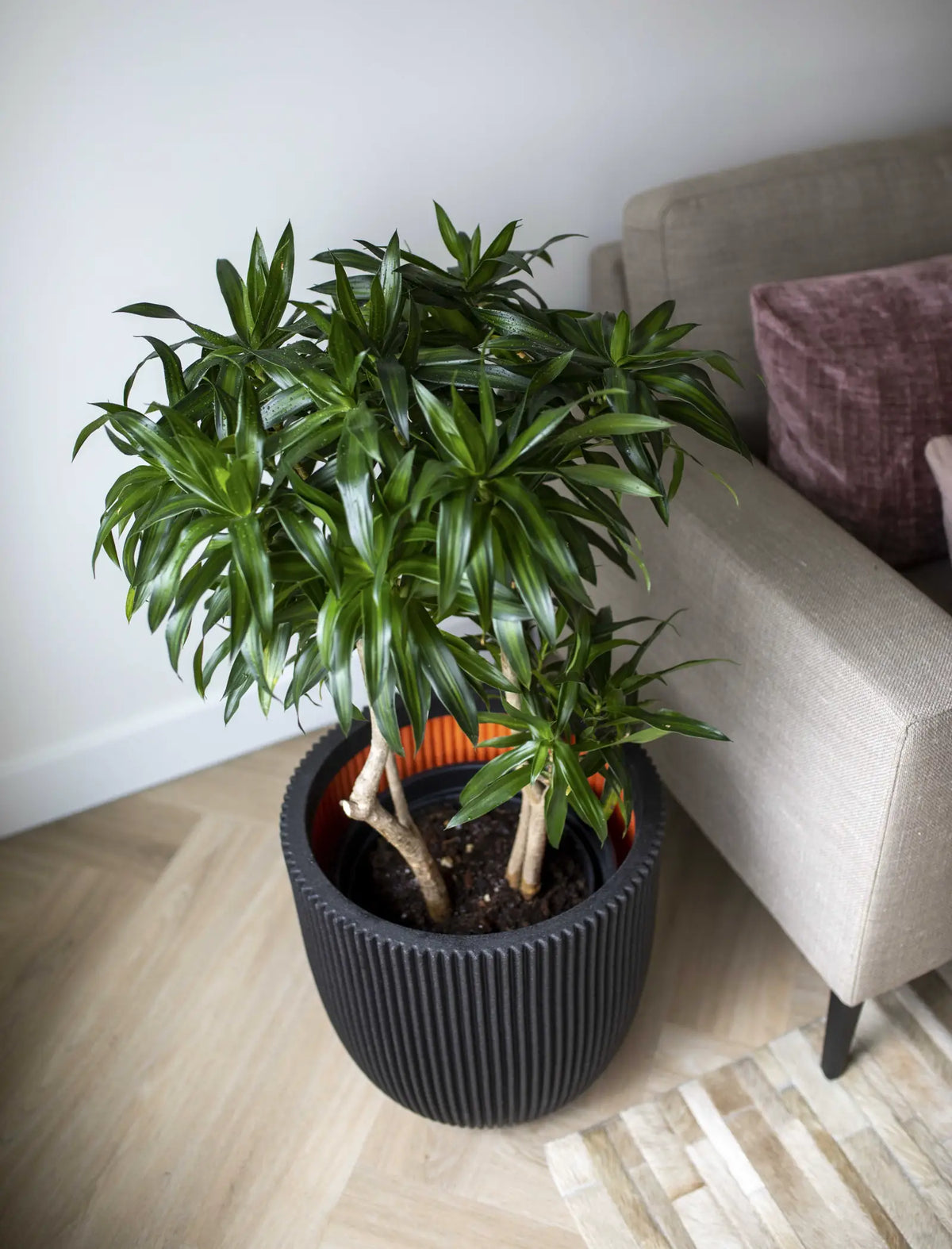 Blumentopf Kugel Groove schwarz, 35x34cm, Pflanzkübel von aplanta, für drinnen & draußen