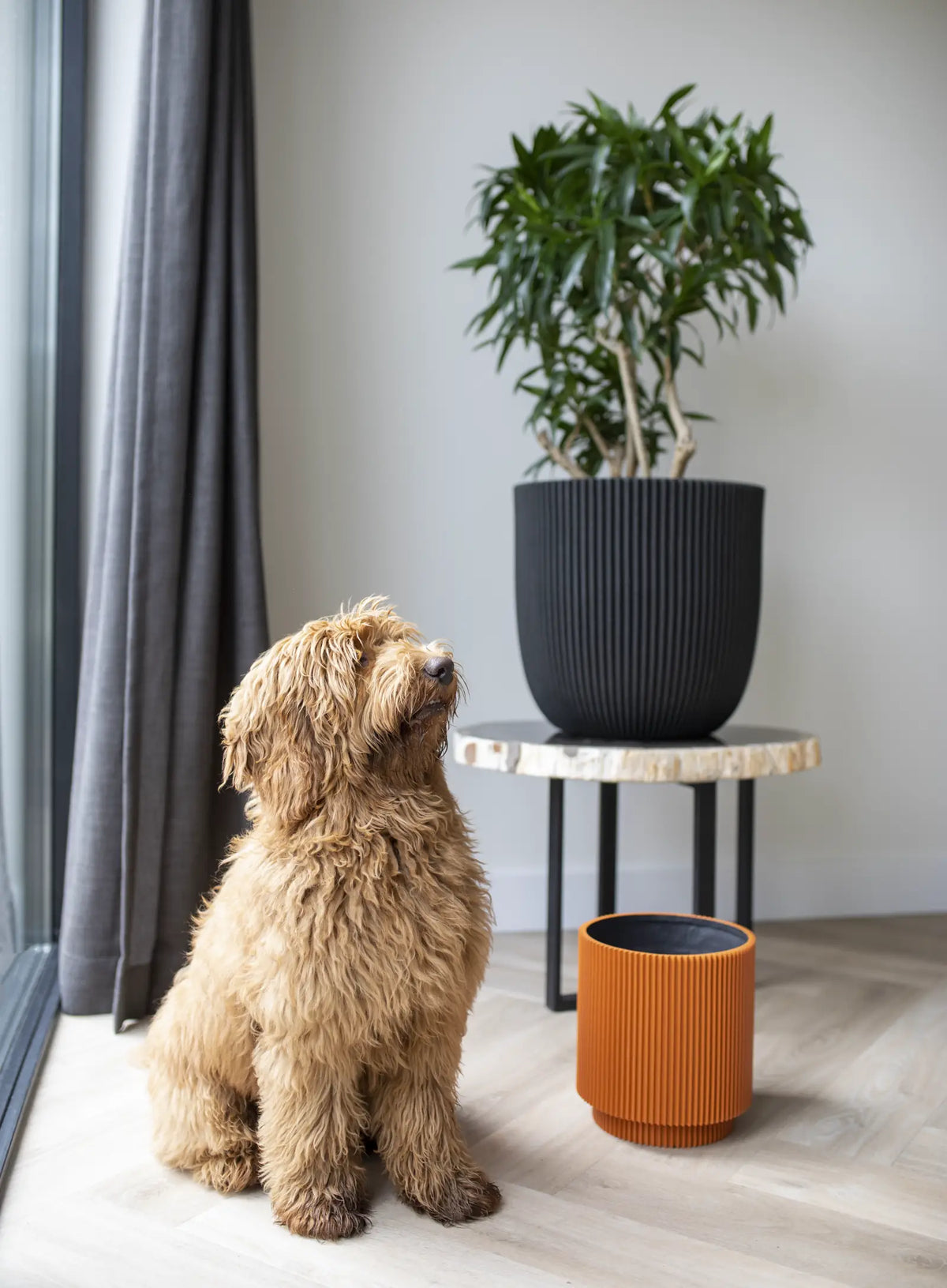 Blumentopf Kugel Groove schwarz, 35x34cm, Pflanzkübel von aplanta, für drinnen & draußen
