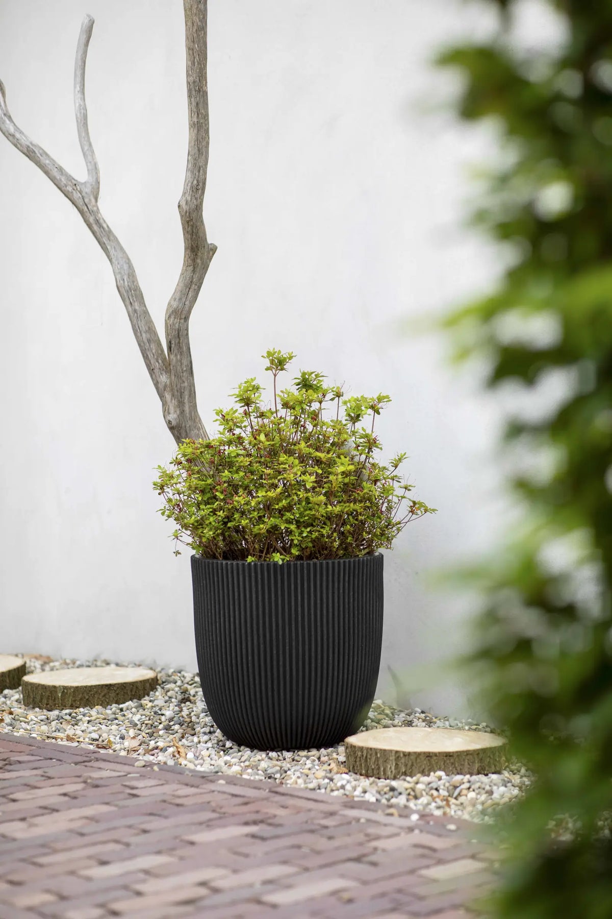 Blumentopf Kugel Groove schwarz, 43x41cm, Pflanzkübel von aplanta, für drinnen & draußen