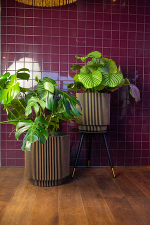 Blumentopf zylinder Groove gold, 36x38cm, Pflanzkübel von aplanta, in Schwarz-Gold, für drinnen & draußen