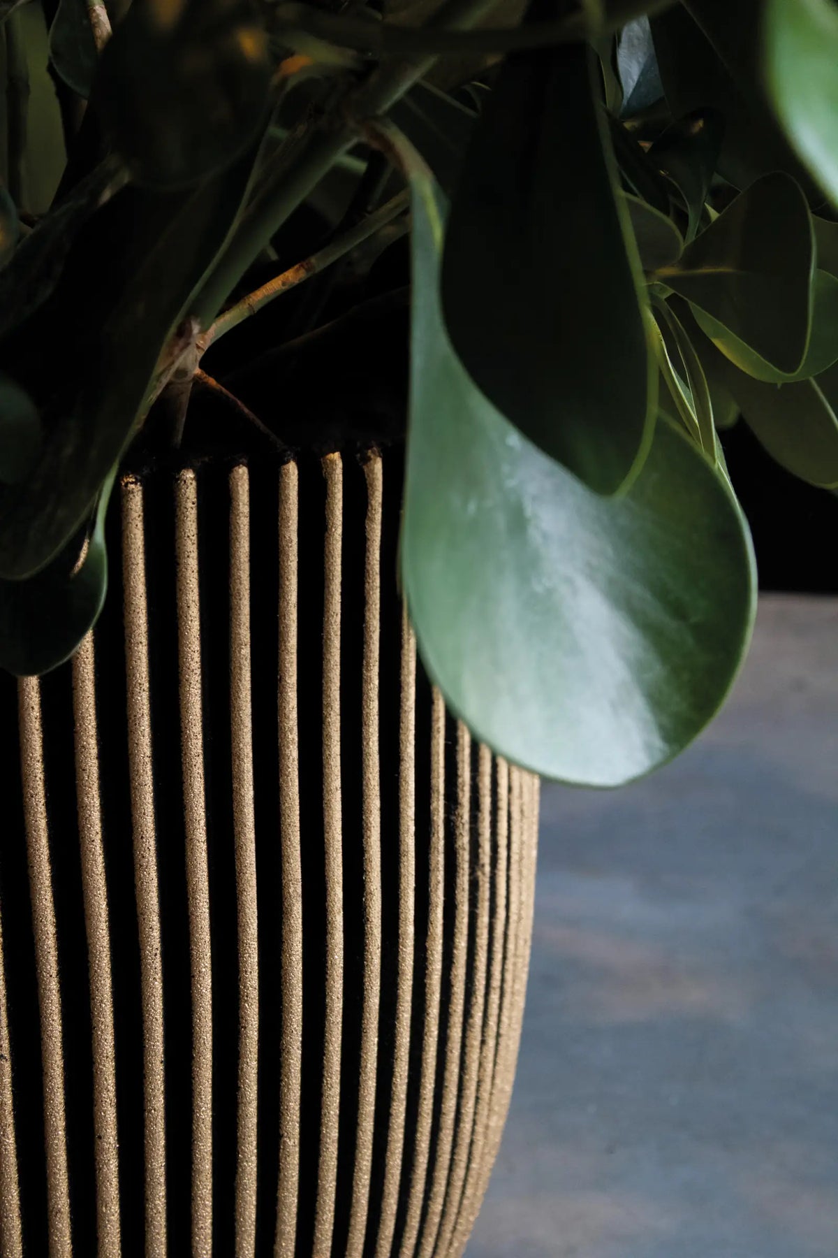 Blumentopf Kugel Groove schwarz gold, 35x34cm, Pflanzkübel von aplanta, in Schwarz-Gold, für drinnen & draußen