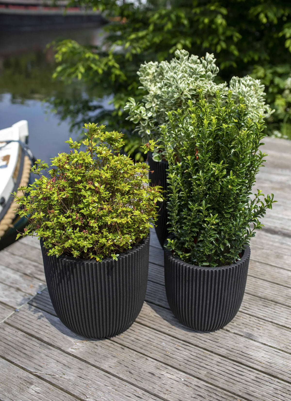 Blumentopf Kugel Groove schwarz, 43x41cm, Pflanzkübel von aplanta, für drinnen & draußen
