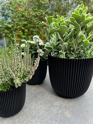 Blumentopf Kugel Groove 25x23 Schwarz, Pflanzkübel von aplanta, für drinnen & draußen