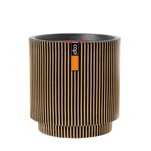 Blumentopf zylinder Groove gold, 44x46cm, Pflanzkübel von aplanta, in Schwarz-Gold, für drinnen & draußen