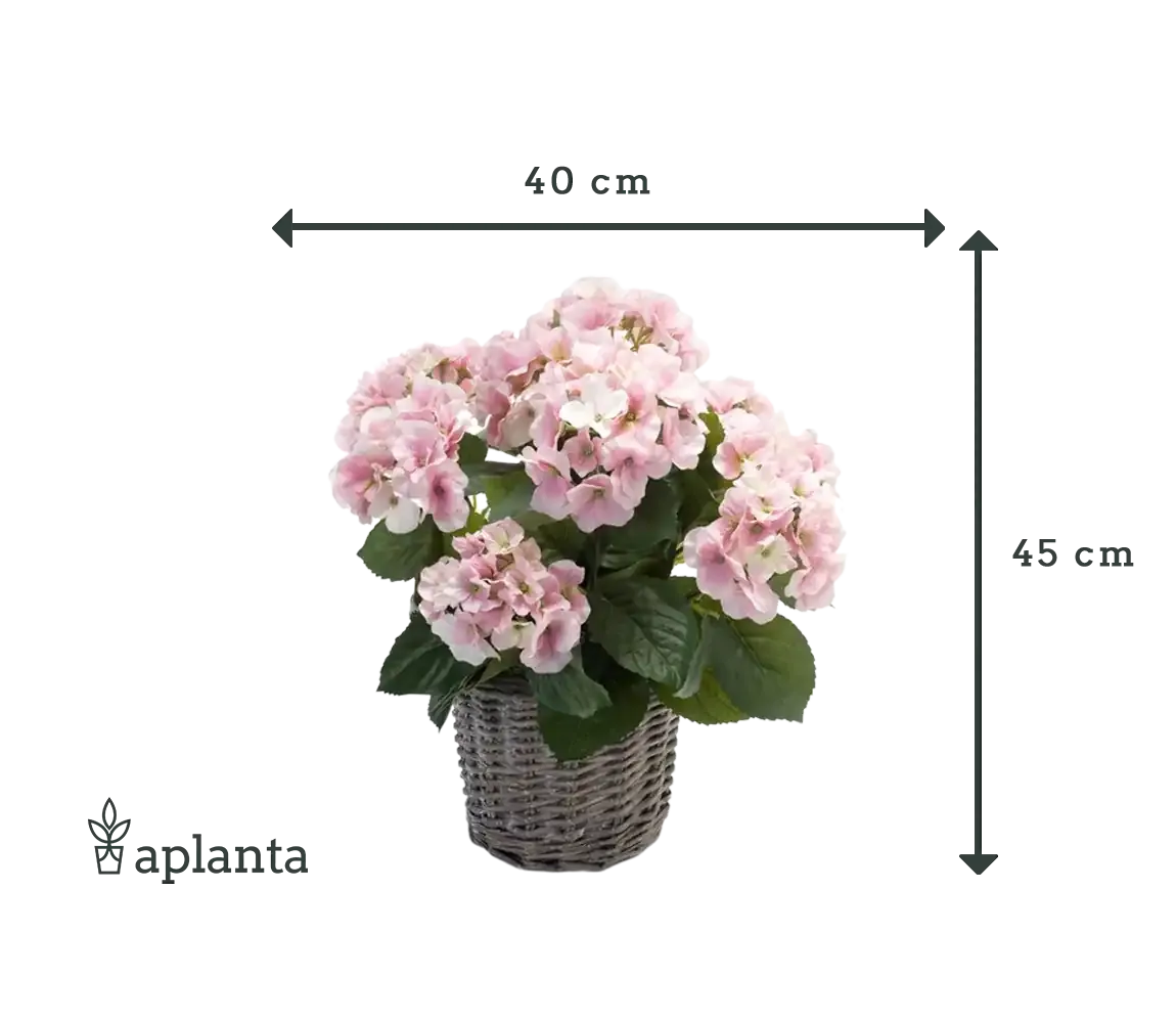 Künstliche Hortensie - Lennard, 45 cm, Kunstblume von aplanta, inkl. Dekotopf, in Natur, für drinnen