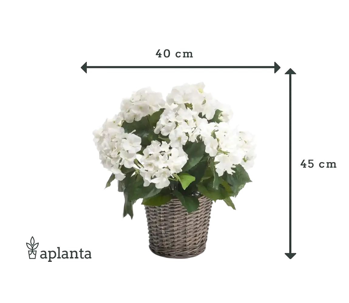 Künstliche Hortensie - Lenny, 45 cm, Kunstblume von aplanta, inkl. Dekotopf, in Natur, für drinnen