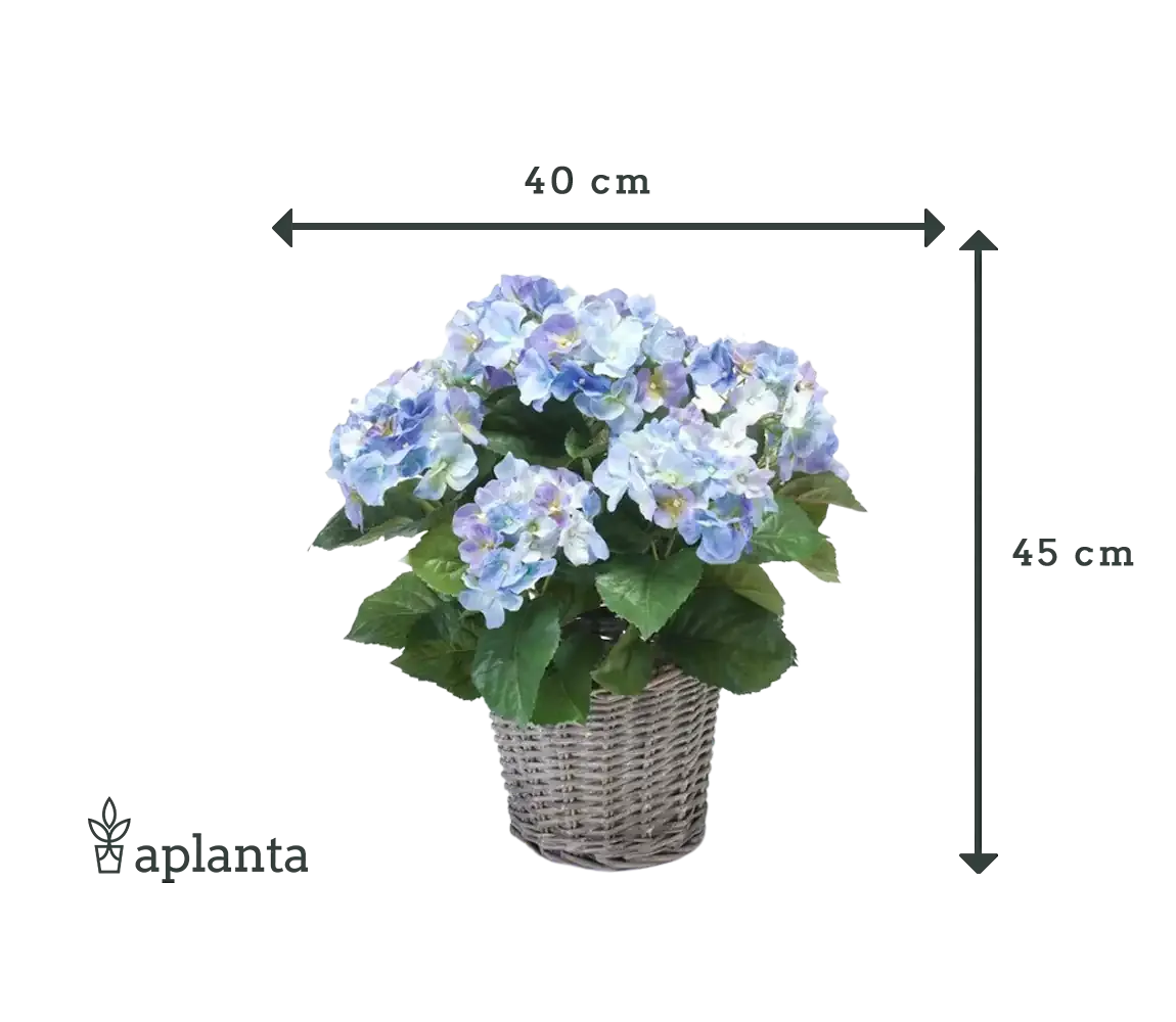 Künstliche Hortensie - Levi, 45 cm, Kunstblume von aplanta, in Natur, für drinnen