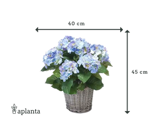 Künstliche Hortensie - Levi, 45 cm, Kunstblume von aplanta, in Natur, für drinnen
