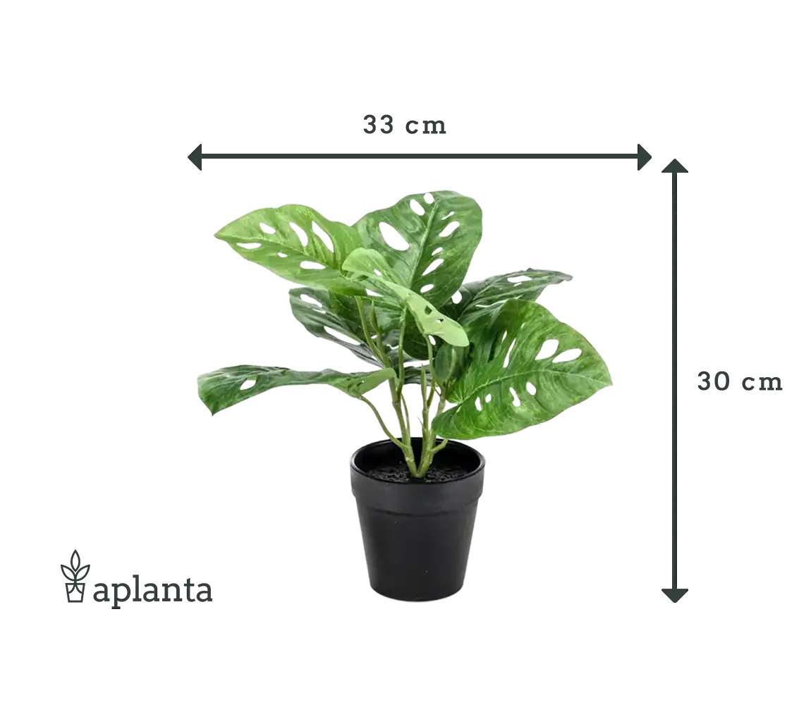 Künstliche Monstera - Jonah, 30 cm, Kunstpflanze von aplanta, im schwarzen Topf, in Natur, für drinnen