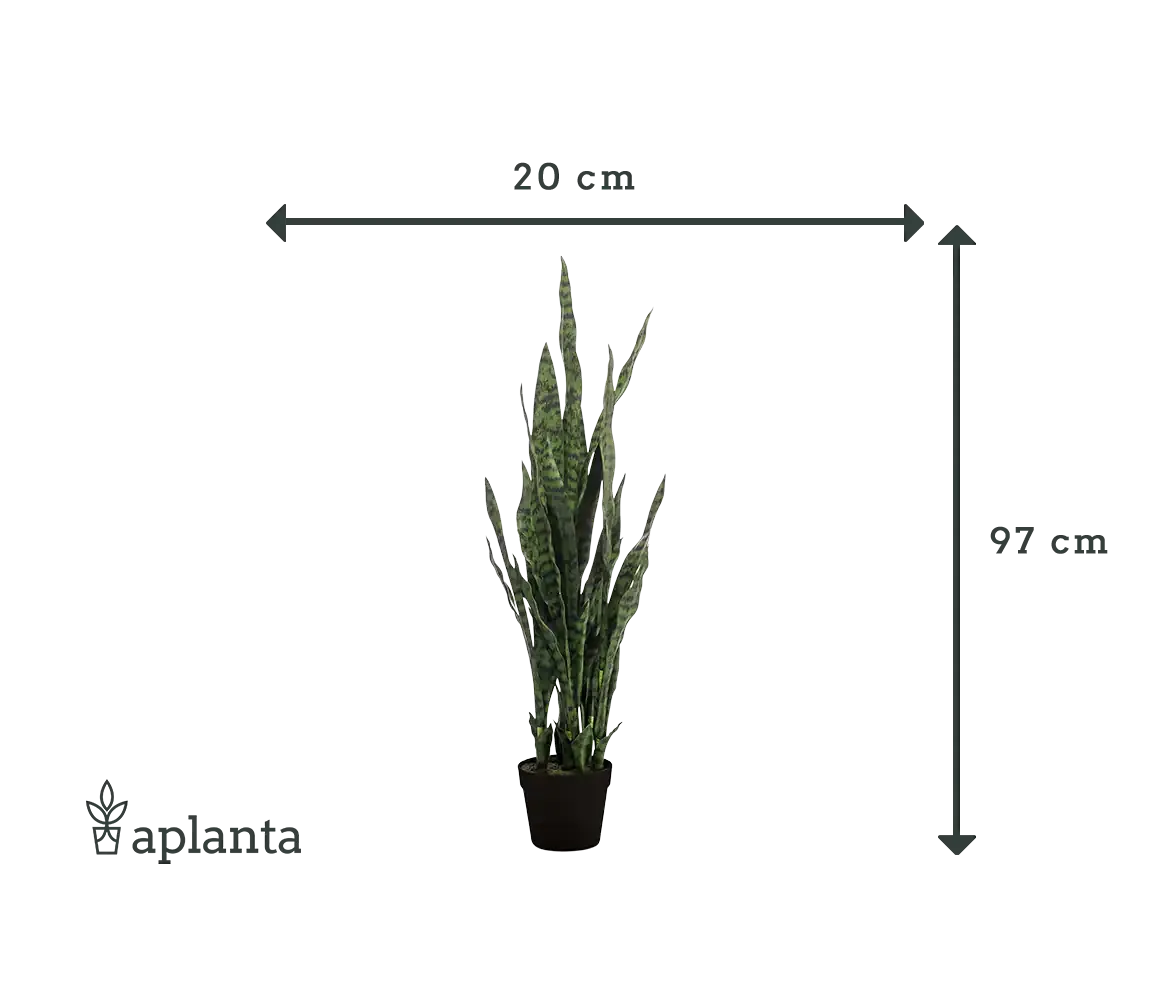 Künstlicher Bogenhanf - Jette, 97 cm, Kunstpflanze von aplanta, im schwarzen Topf, in Natur, für drinnen