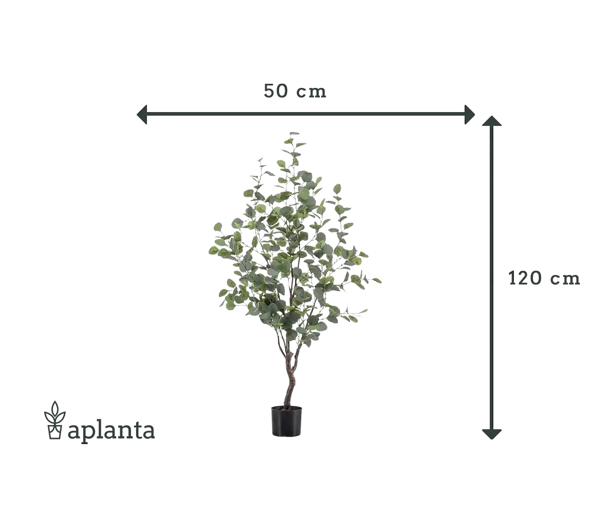 Künstlicher Eucalyptus Baum - Christopher, 120 cm, Kunstbaum von aplanta, in Natur, für drinnen
