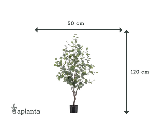 Künstlicher Eucalyptus Baum - Christopher, 120 cm, Kunstbaum von aplanta, in Natur, für drinnen