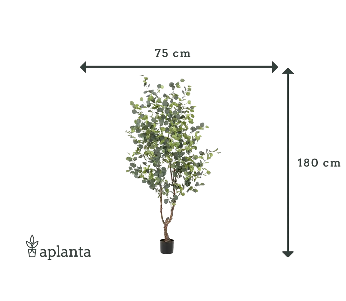 Künstlicher Eucalyptus Baum - Christopher, 180 cm, Kunstbaum von aplanta, in Natur, für drinnen