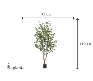Künstlicher Eucalyptus Baum - Christopher, 180 cm, Kunstbaum von aplanta, in Natur, für drinnen