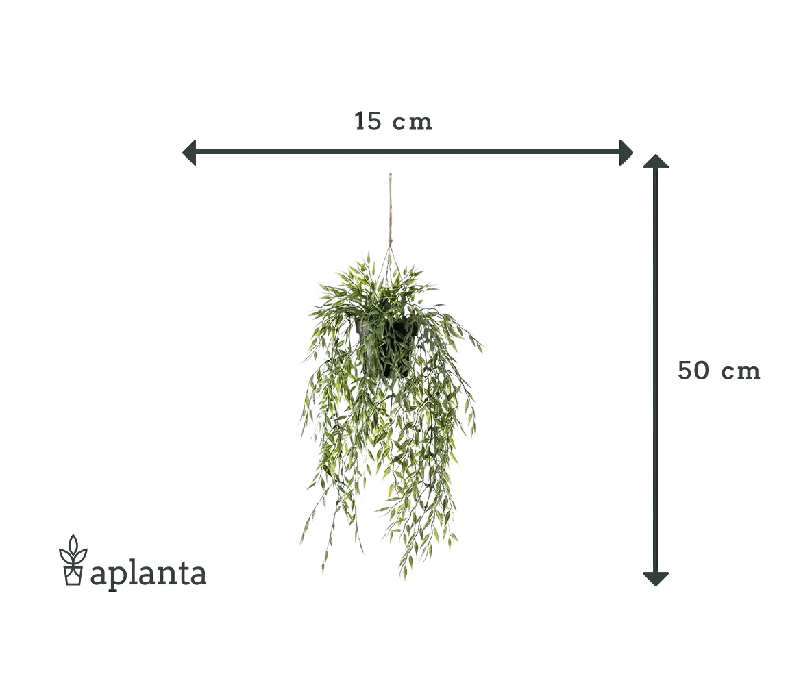 Künstlicher Hänge-Bambus - Kiana, 50 cm, Kunstpflanze von aplanta, inkl. Dekotopf, in Natur, für drinnen
