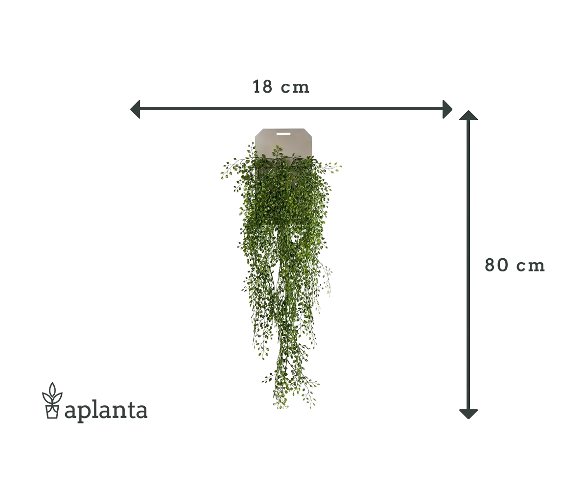 Künstlicher Hänge-Jasmin - Levin, 80 cm, Kunstpflanze von aplanta, Steckpflanze, in Natur, für drinnen