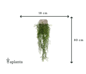 Künstlicher Hänge-Jasmin - Levin, 80 cm, Kunstpflanze von aplanta, Steckpflanze, in Natur, für drinnen