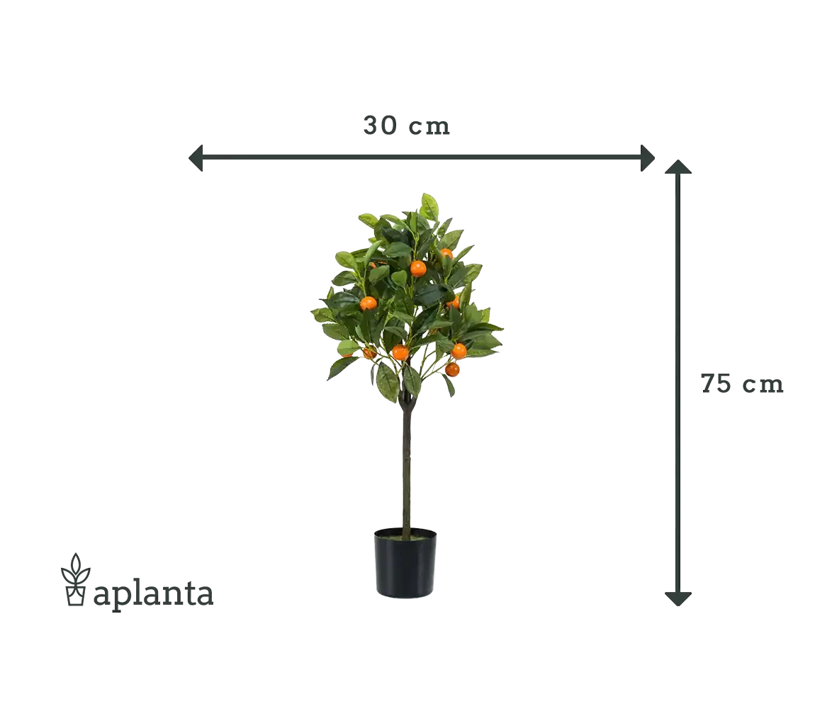 Künstlicher Orangenbaum - Julia, 75 cm, Kunstbaum von aplanta, für drinnen