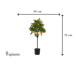 Künstlicher Orangenbaum - Julia, 75 cm, Kunstbaum von aplanta, für drinnen