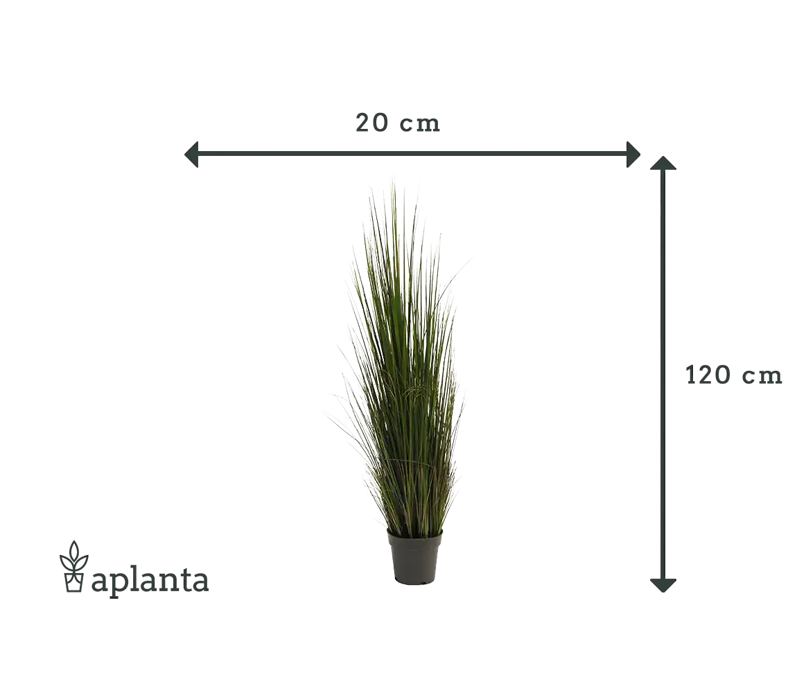 Künstliches Gras - Hanno, 120 cm, Kunstpflanze von aplanta, in Grün, für drinnen