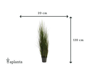 Künstliches Gras - Hanno, 120 cm, Kunstpflanze von aplanta, in Grün, für drinnen