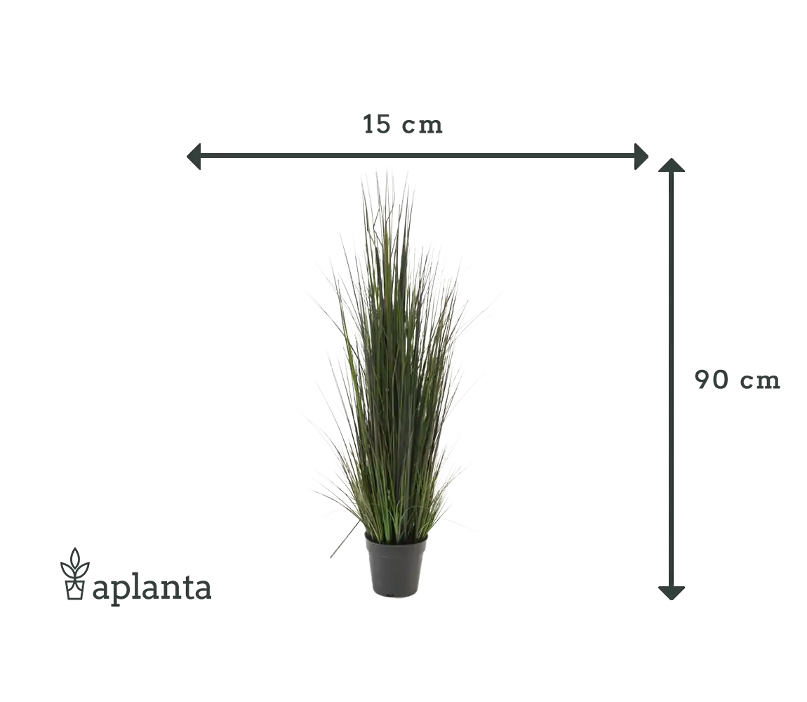 Künstliches Gras - Hanno, 90 cm, Kunstpflanze von aplanta, im schwarzen Topf, in Natur, für drinnen