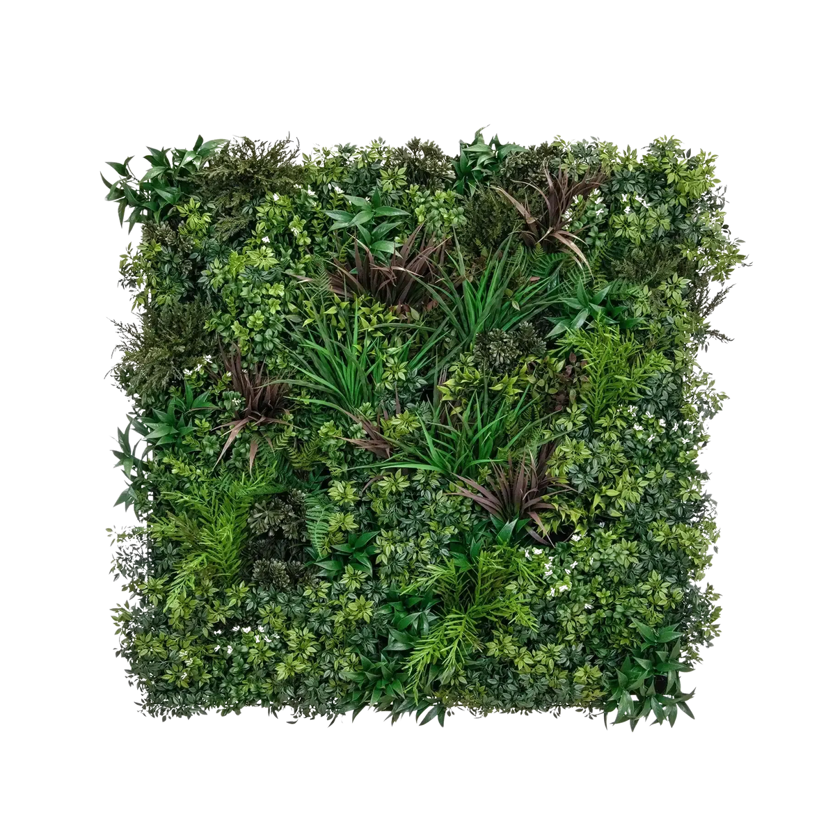 Künstliche Pflanzenwand - Wolfgang, 100 cm, Kunstpflanze von aplanta, UV-beständig, feuerhemmend, B1-zertifiziert, in Grün