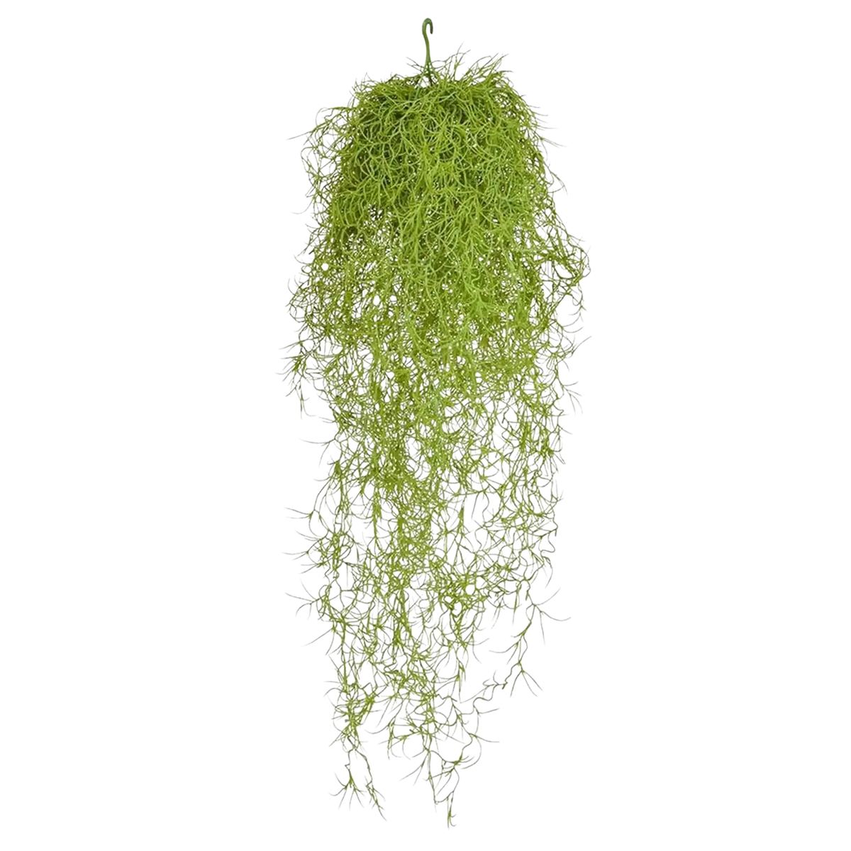 Künstliche Tillandsia - Erwin, 75 cm, Kunstpflanze von aplanta, feuerhemmend, B1-zertifiziert, Steckpflanze, in Grün