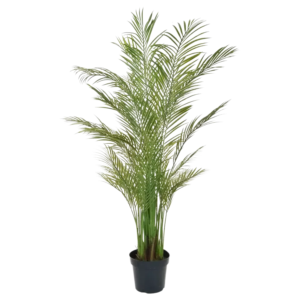 Künstliche Areca Palme - Amelie, 180 cm, Kunstbaum von aplanta, UV-beständig, feuerhemmend, B1-zertifiziert, in Grün