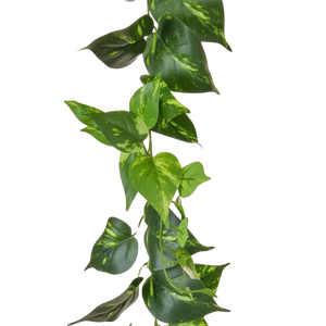 Künstliche Pothos Girlande - Christian, 220 cm, Kunstpflanze von aplanta, feuerhemmend, B1-zertifiziert, in Grün, für drinnen