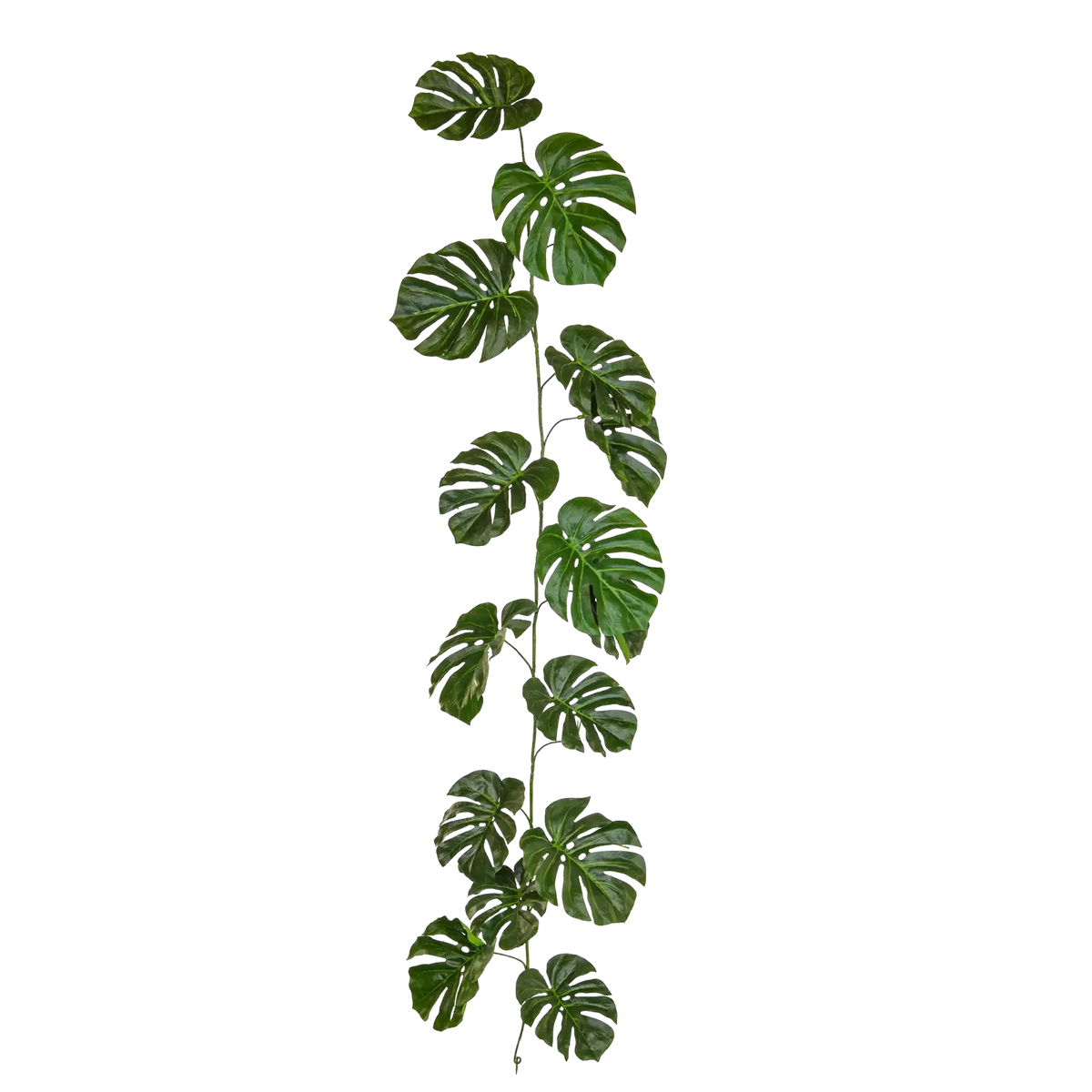 Künstliche Monstera Girlande - Hugo, 180 cm, Kunstpflanze von aplanta, feuerhemmend, B1-zertifiziert, in Grün, für drinnen
