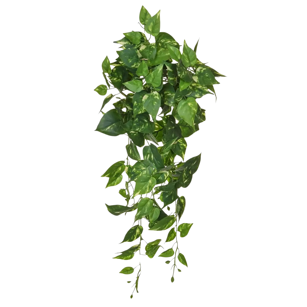 Künstlicher Pothos - Walter, 80 cm, Kunstpflanze von aplanta, feuerhemmend, B1-zertifiziert, Steckpflanze, in Grün