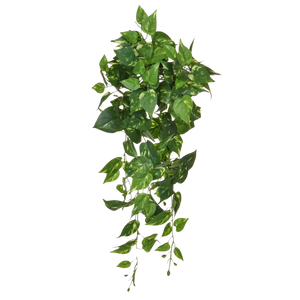 Künstlicher Pothos - Walter, 80 cm, Kunstpflanze von aplanta, feuerhemmend, B1-zertifiziert, Steckpflanze, in Grün