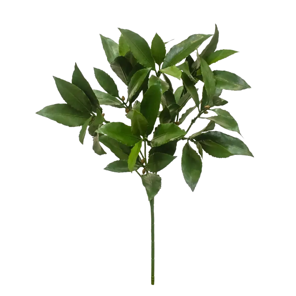 Künstliche Lorbeerzweig - Eugen, 51 cm, Kunstpflanze von aplanta, UV-beständig, feuerhemmend, B1-zertifiziert, Steckpflanze