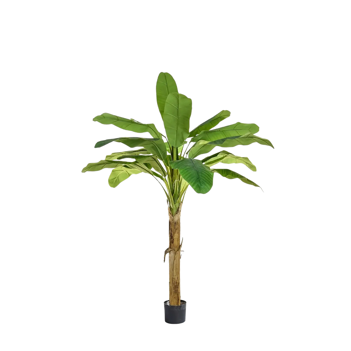Künstlicher Bananenbaum - Harald, 105 cm, Kunstbaum von aplanta, feuerhemmend, B1-zertifiziert, in Grün, für drinnen