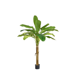 Künstlicher Bananenbaum - Harald, 105 cm, Kunstbaum von aplanta, feuerhemmend, B1-zertifiziert, in Grün, für drinnen
